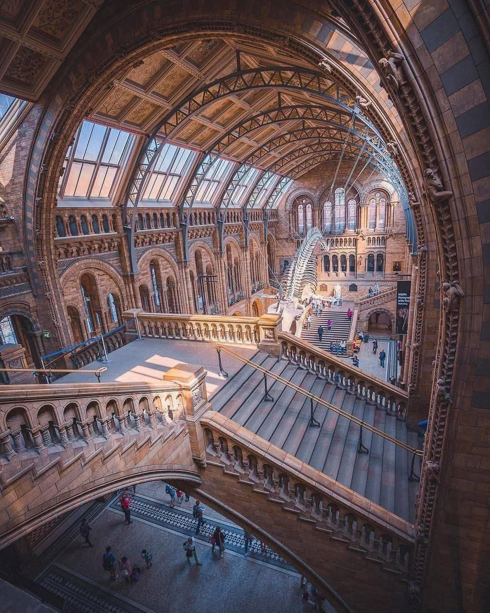 Natural History Museum in London, UK 🇬🇧