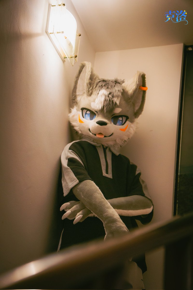 Cold（克洛） tweet media