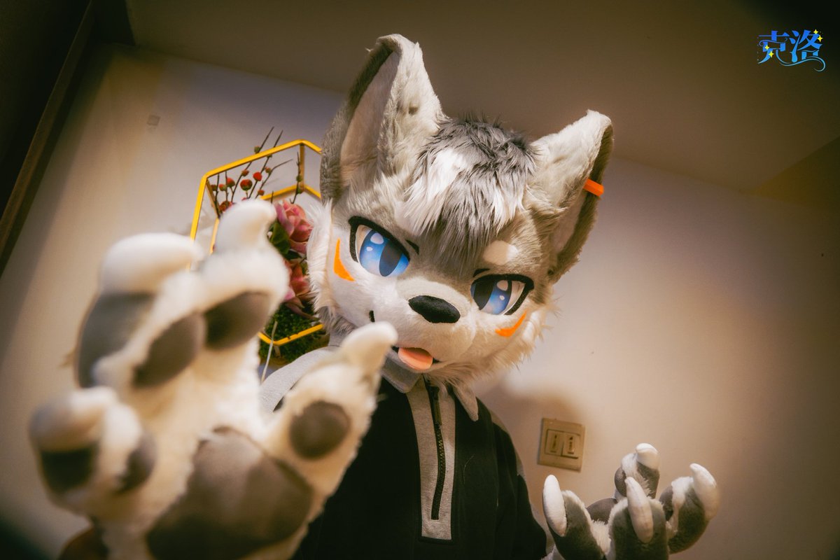 Cold（克洛） tweet media