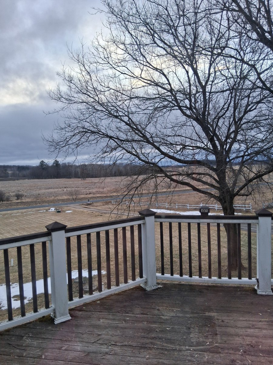 T.L.G. (Tami) tweet media