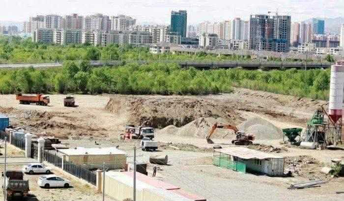 tsetseg.B tweet media