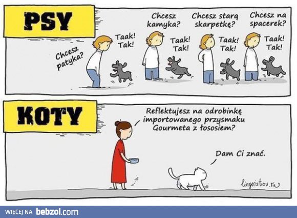 ANDRZEJ KARPINSKI tweet media