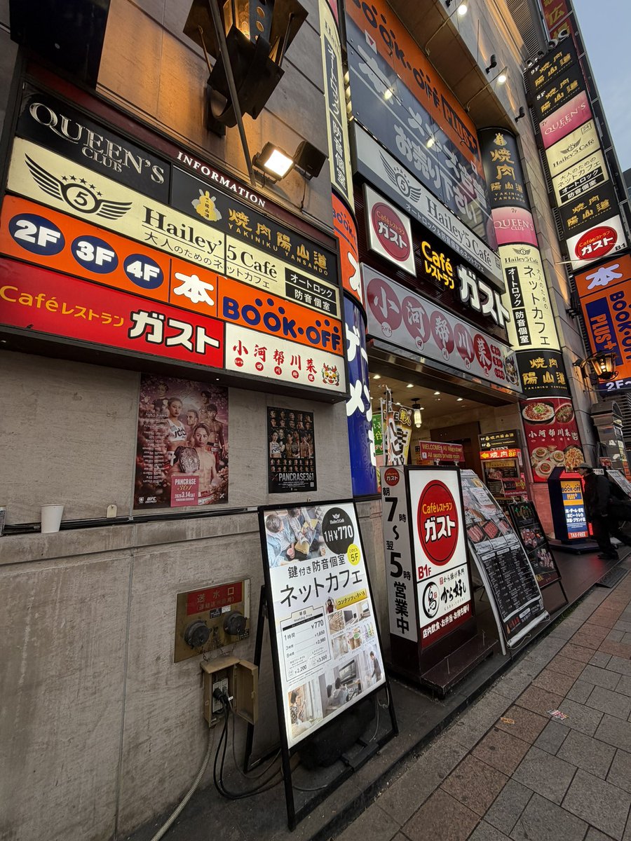 杉山しずかshizukasugiyama/しぃやん総合格闘家 tweet media