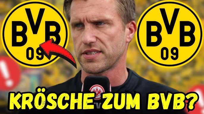 pütze dutch steiss salvatore tweet media