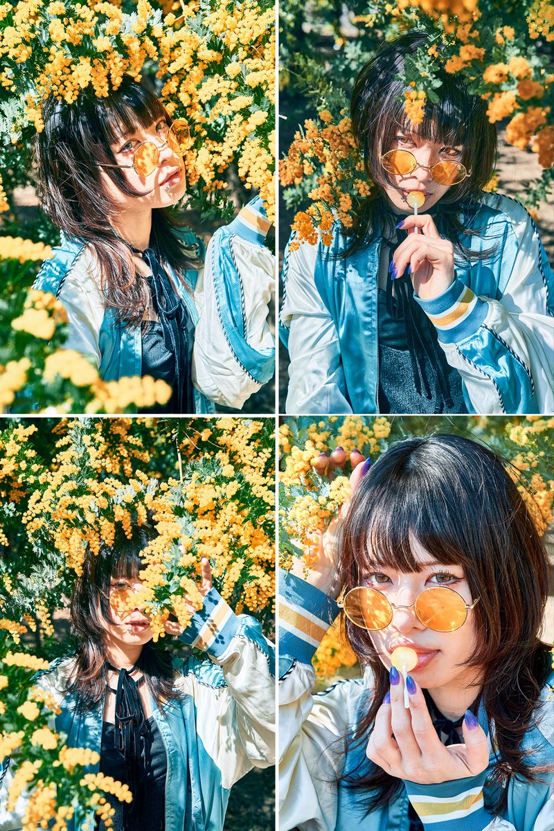 ミモザミモザと言っていますこのお花、実はアカシアが正しいって知ってましたか。僕は今日の今日まで知りませんでした。

ミモザは触れると葉が閉じるお辞儀草なのだそうです。