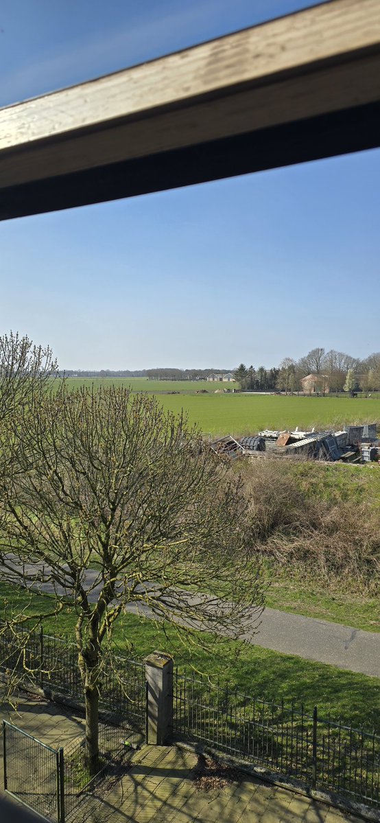 Pedro 🦇 tweet media