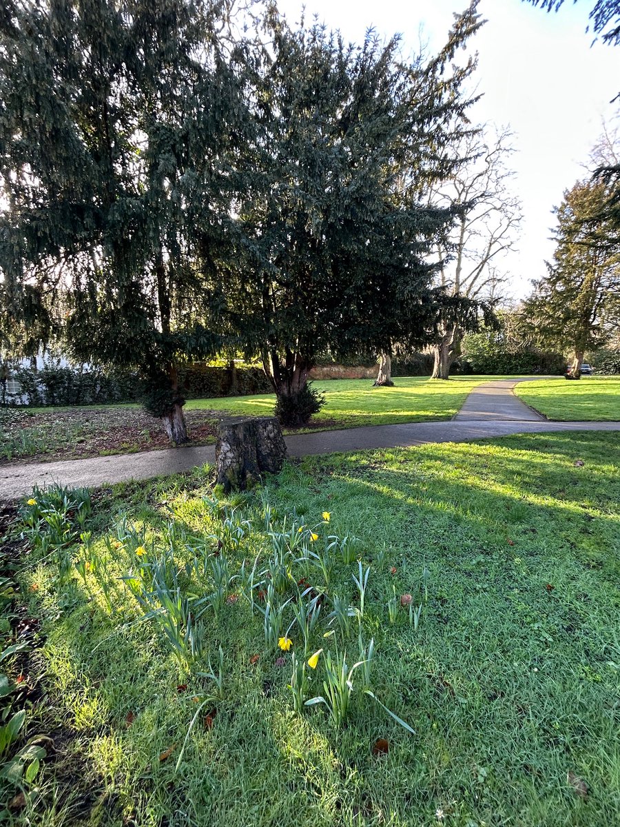 ListeningWalker MBE tweet media