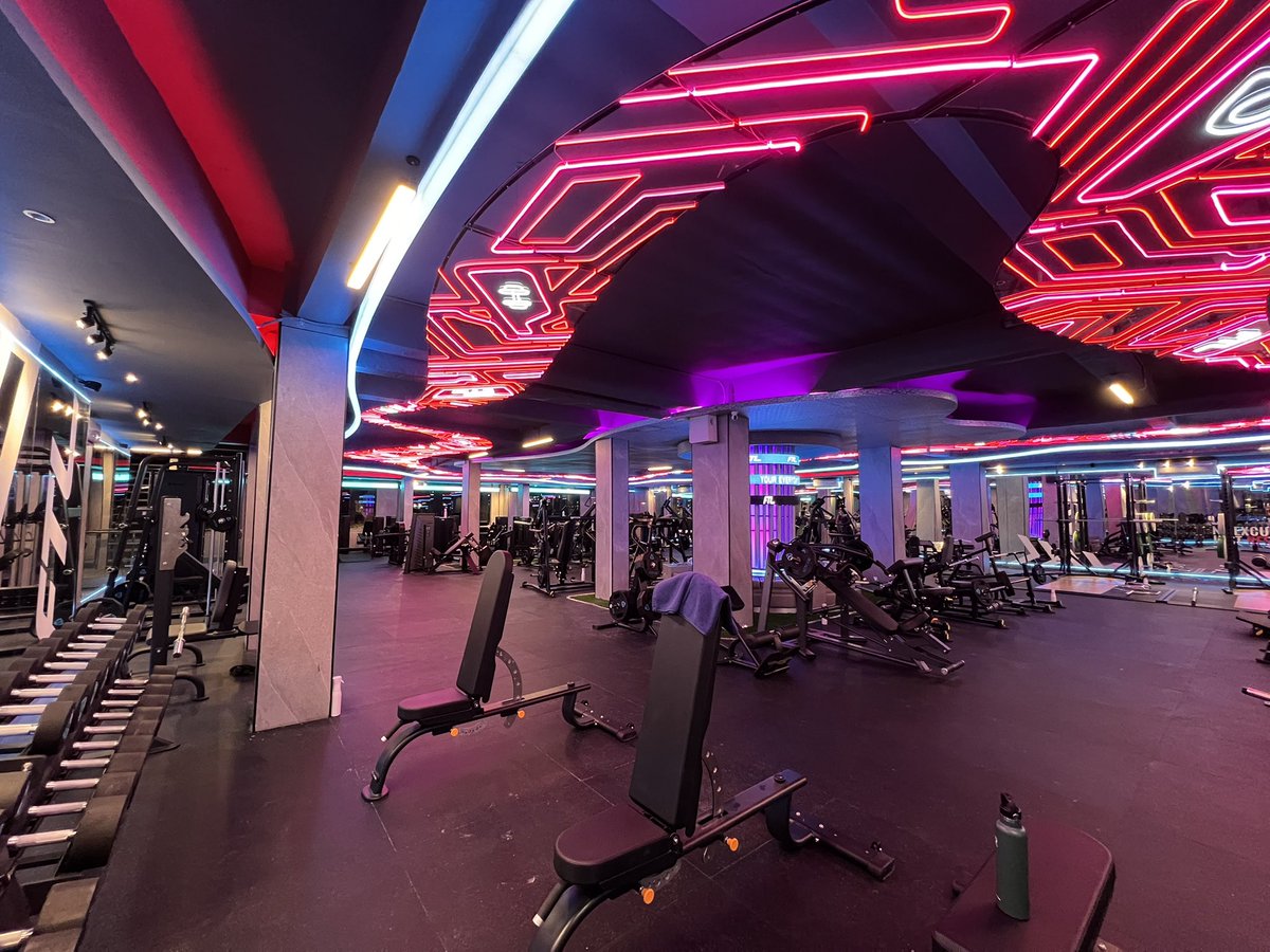 NEO 🐨 tweet media