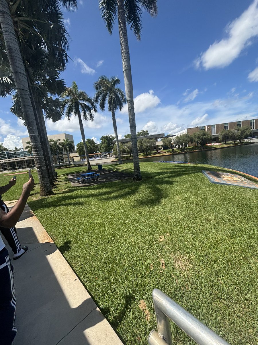 I cant save her… tweet media