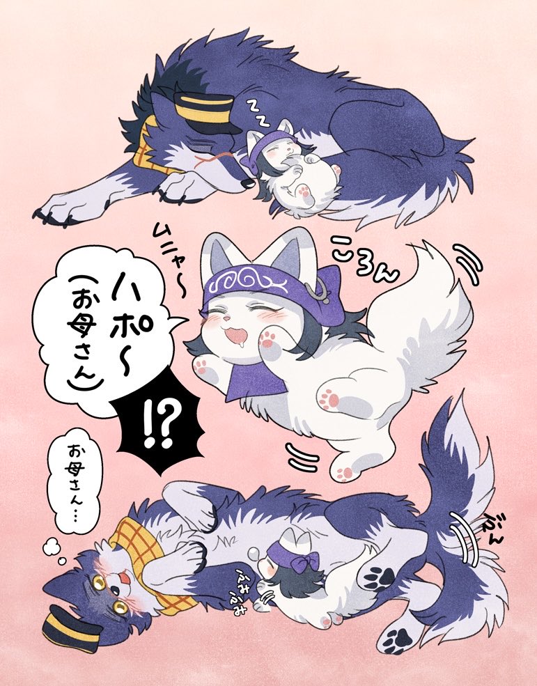 めが🐟 tweet media