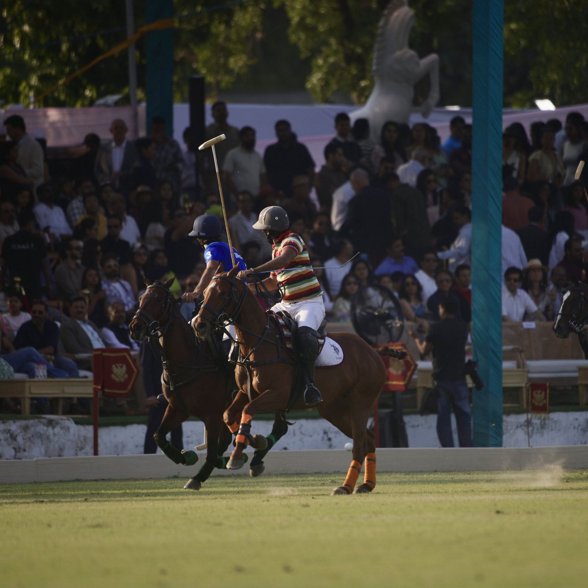 Jindal Panther Polo Team tweet media