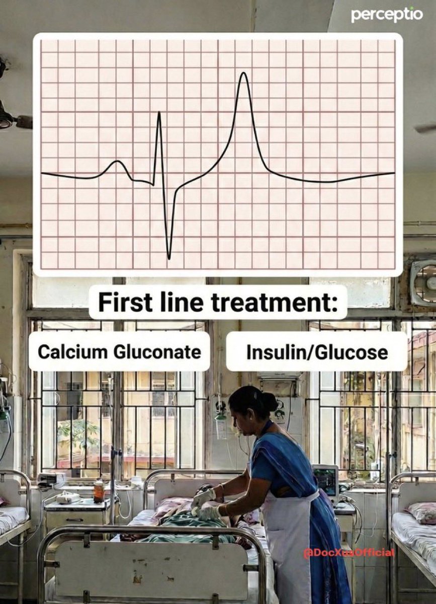 DocXus tweet media