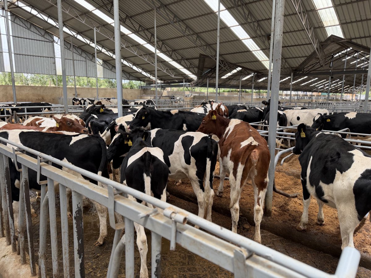 Mr. Agriculture 👩‍🌾 tweet media