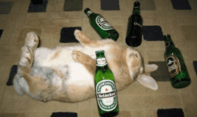 Aufarsgizatlz tweet media