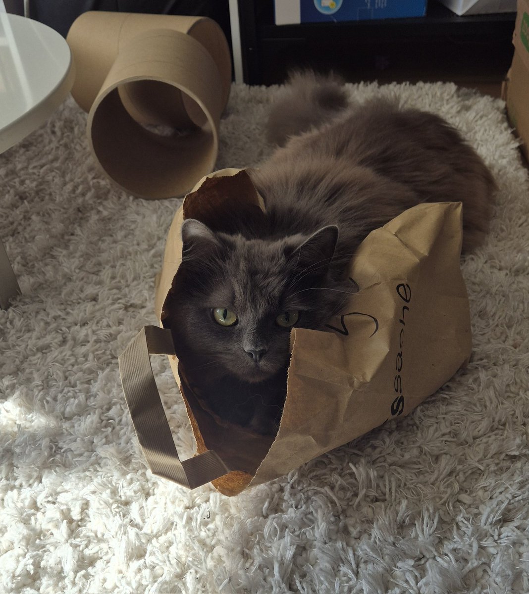 dasha🩶 tweet media