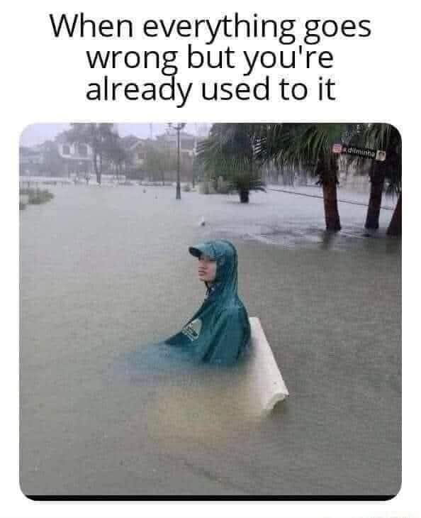 shadowfangs Discord tweet media