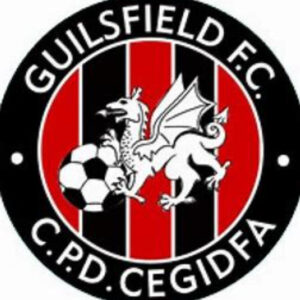 Cymru Sport tweet media