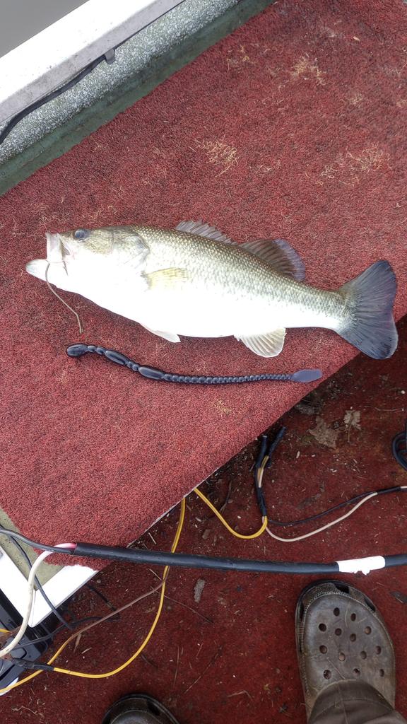 Dean Dean Butterbean tweet media