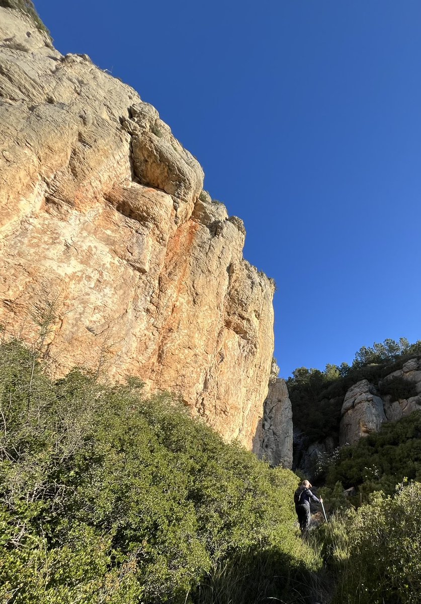 fitohuhe tweet media