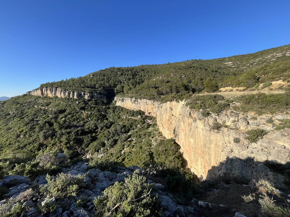 fitohuhe tweet media