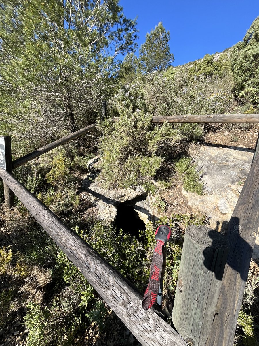 fitohuhe tweet media