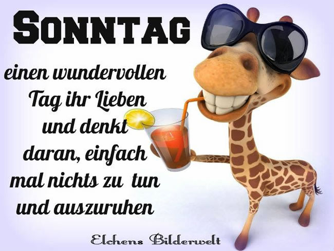 Uwe Vogt tweet media