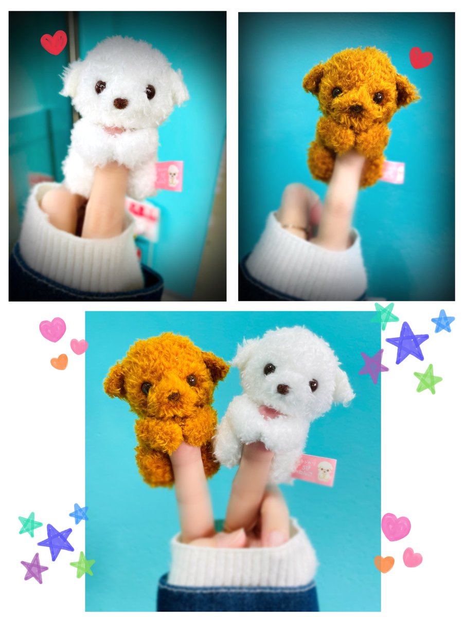 Satomin⭐︎ tweet media