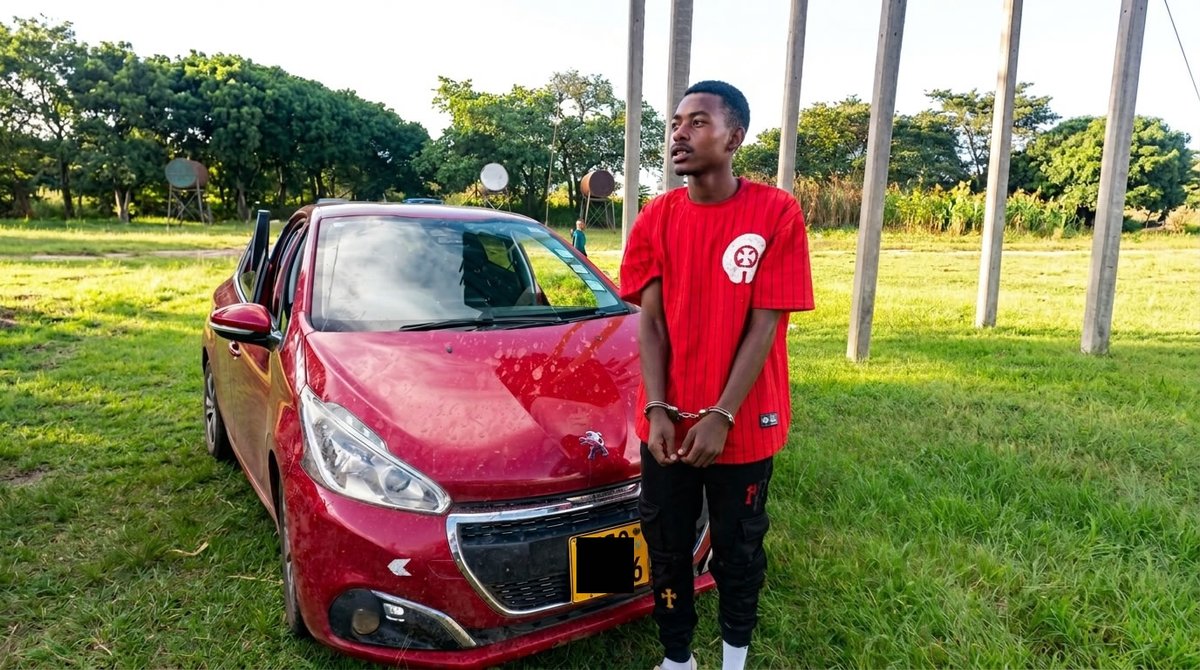 My Zimbabwe News tweet media