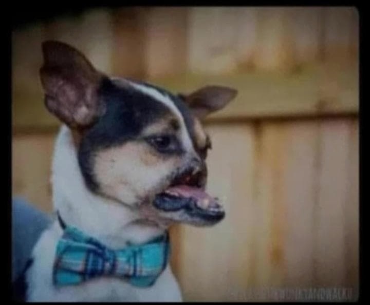 Gb_Realness tweet media