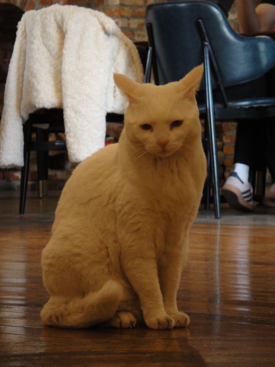 백설기콩떡🍮🍨 tweet media