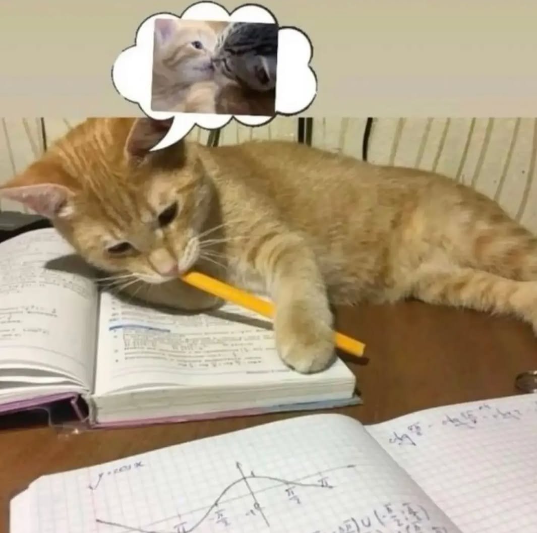 infectedslvt tweet media