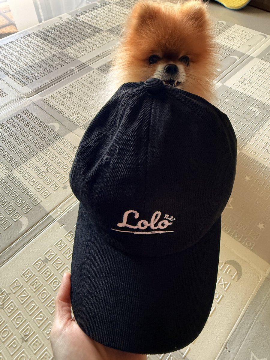 Fonbutter tweet media