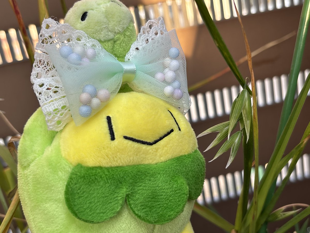 ラピス tweet media