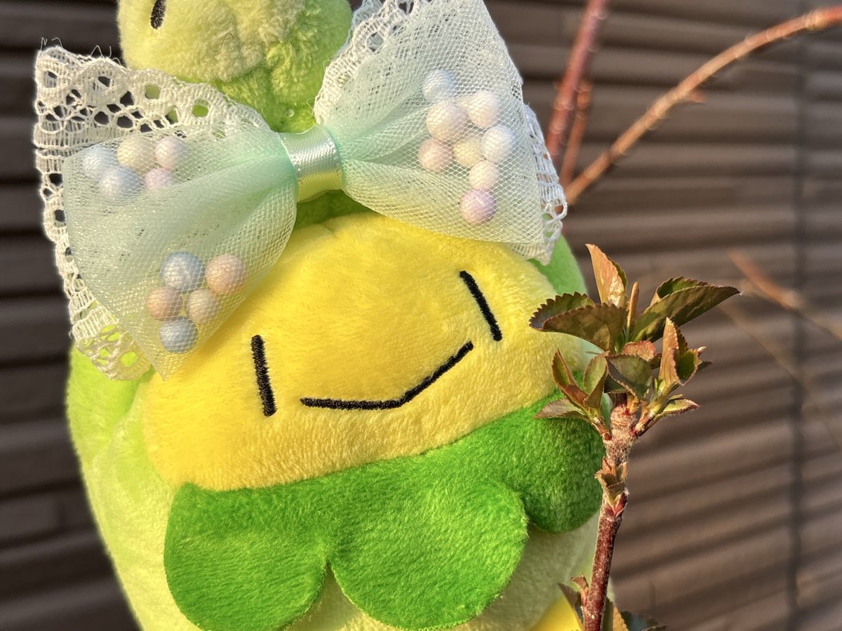 ラピス tweet media