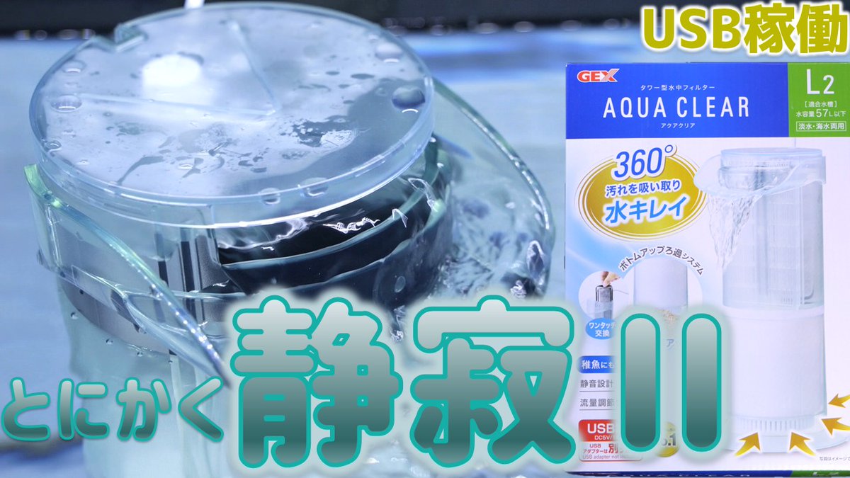 ふぶきテトラ(Fubuki Tetra) tweet media