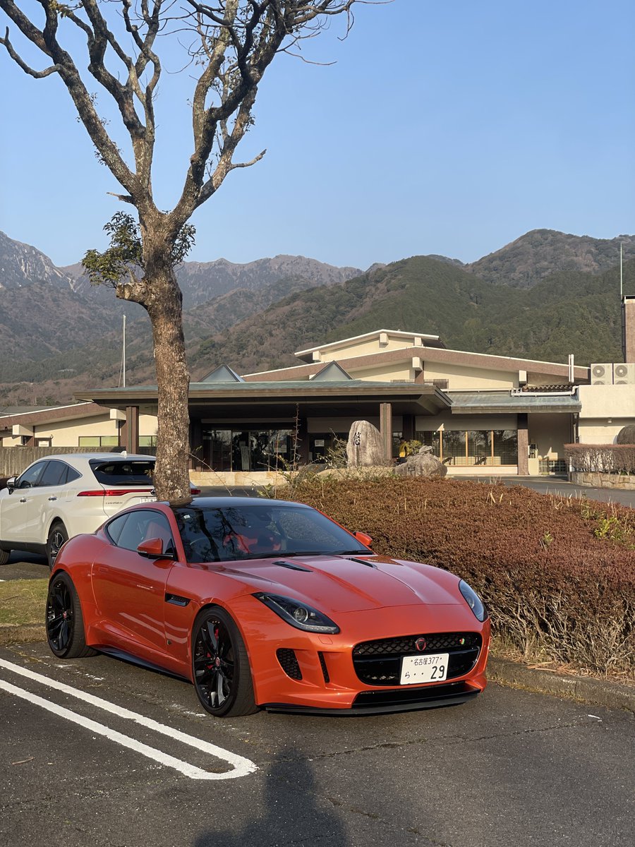 マンモーニ tweet media