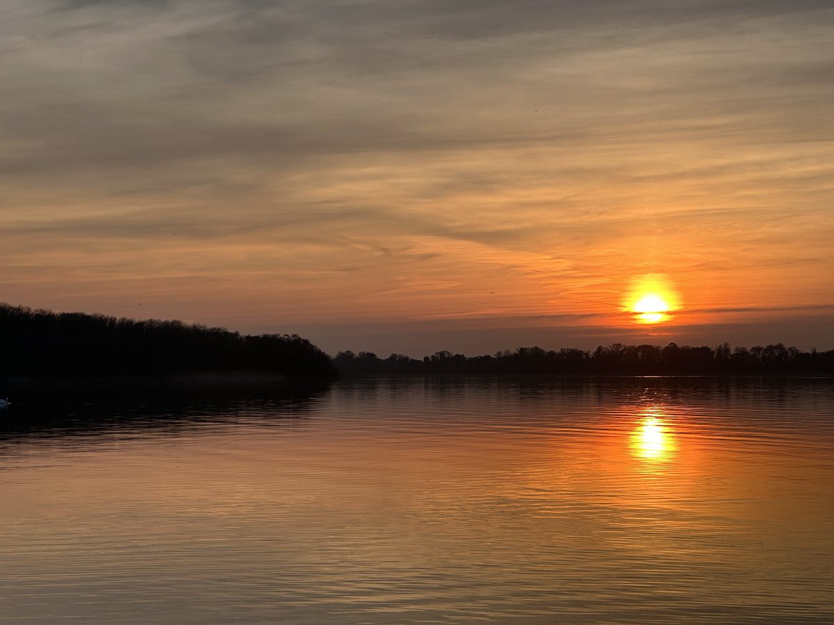 Sharon Welby📷 tweet media