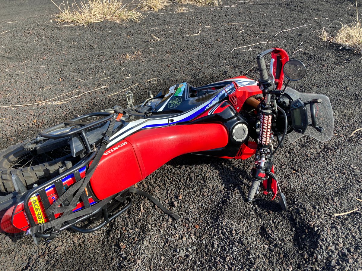 これになりたい 