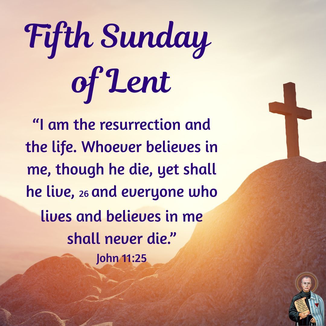 St Maximilian Kolbe tweet media