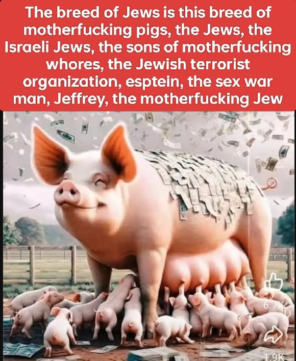 AsgarAbidi's tweet photo. @IsraelArmySpoof https://t.co/oUflDLo3Sn