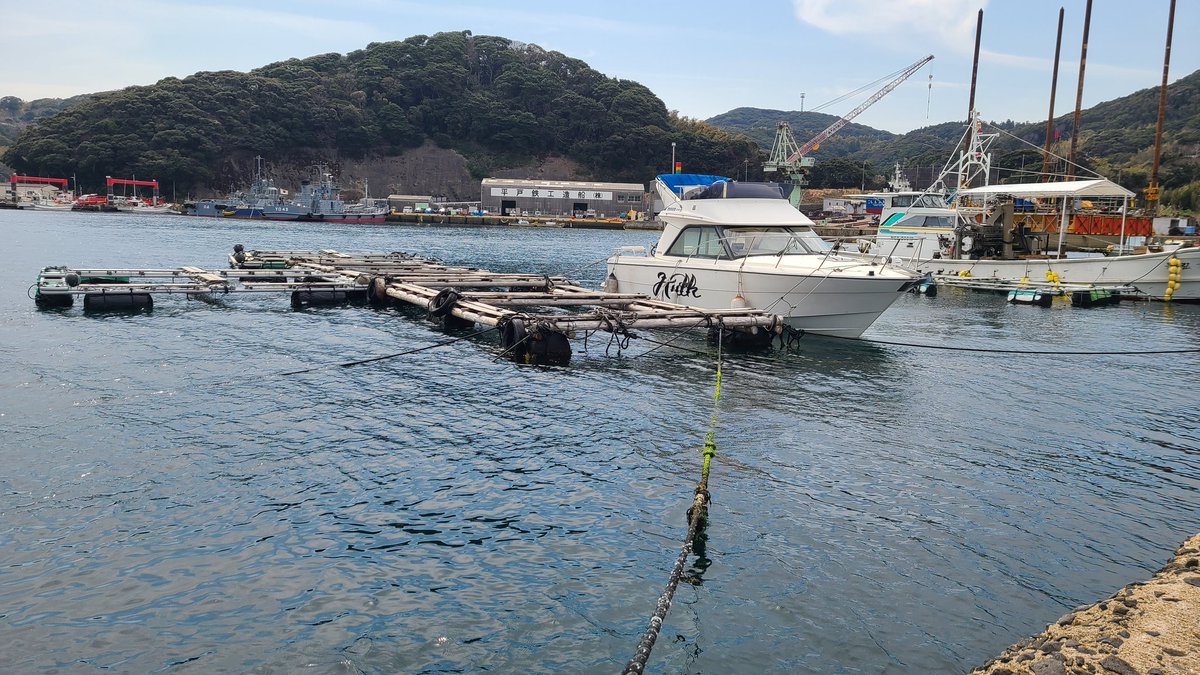 釣りスギ四平 tweet media