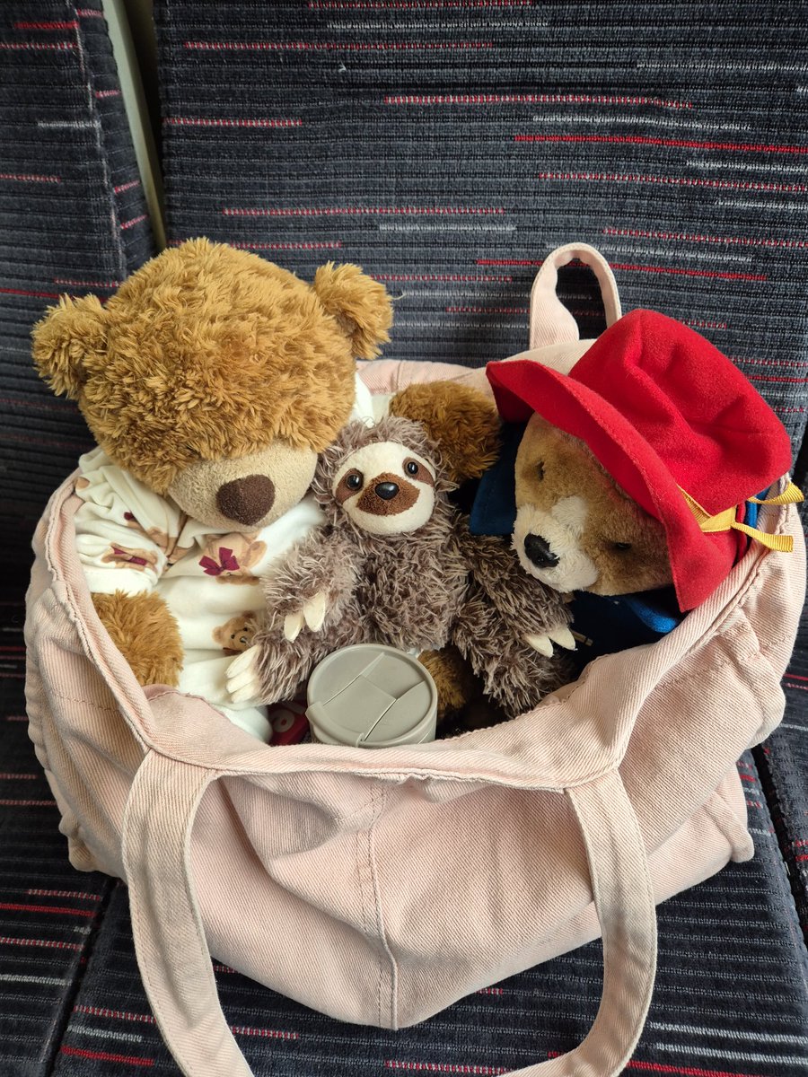 ann cooper tweet media