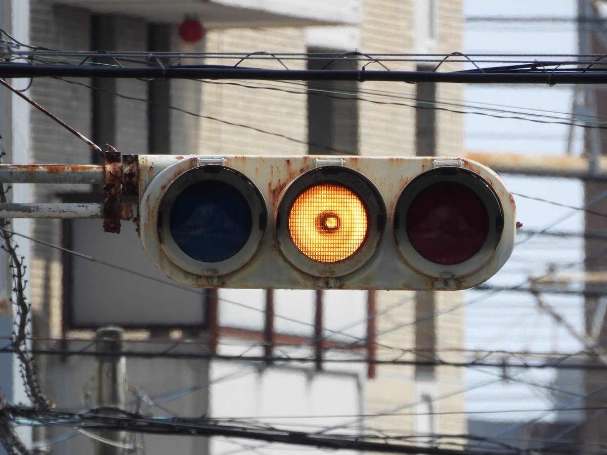 アヤメ tweet media