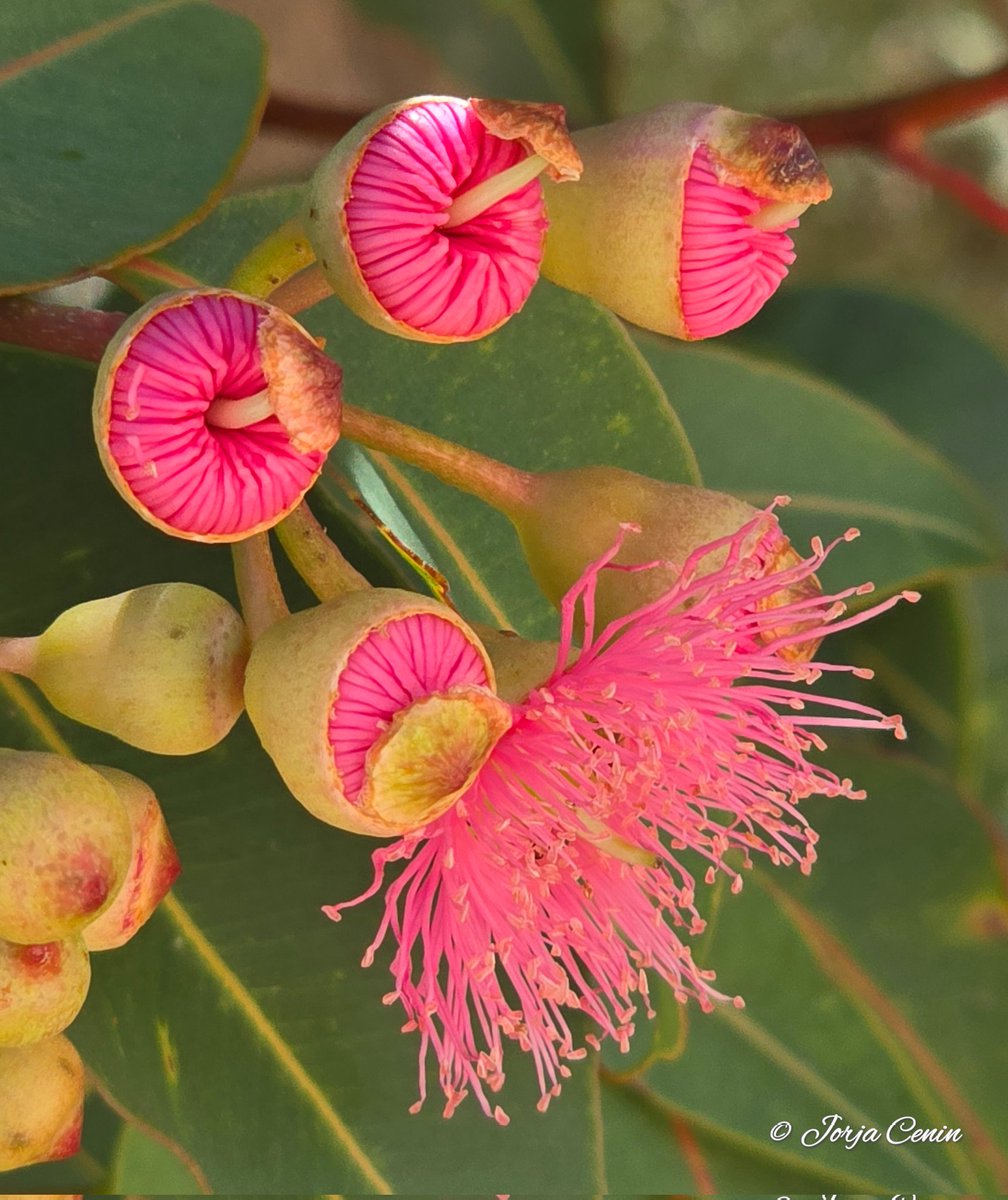 Into Nature Photography with Jorja tweet media