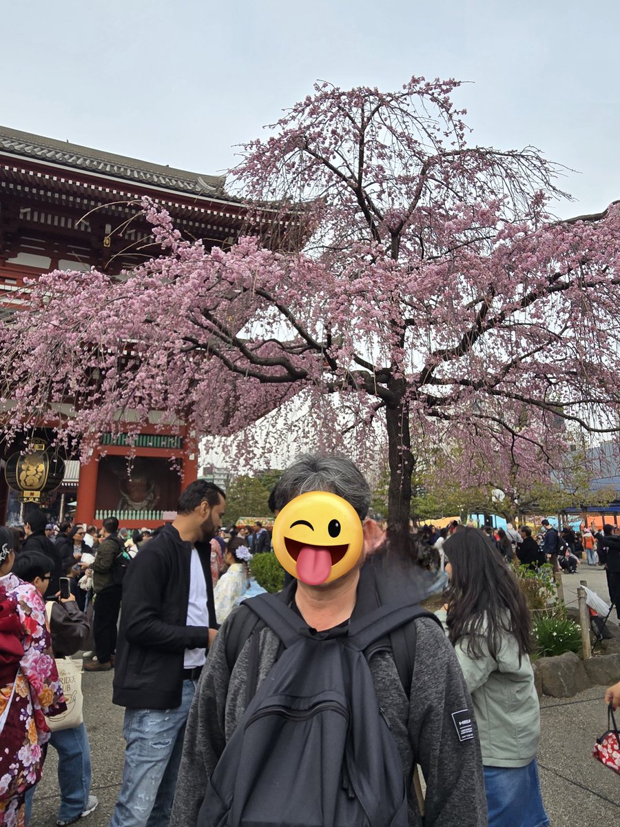 令凰(れいおう)🍀🕊️🌈 tweet media