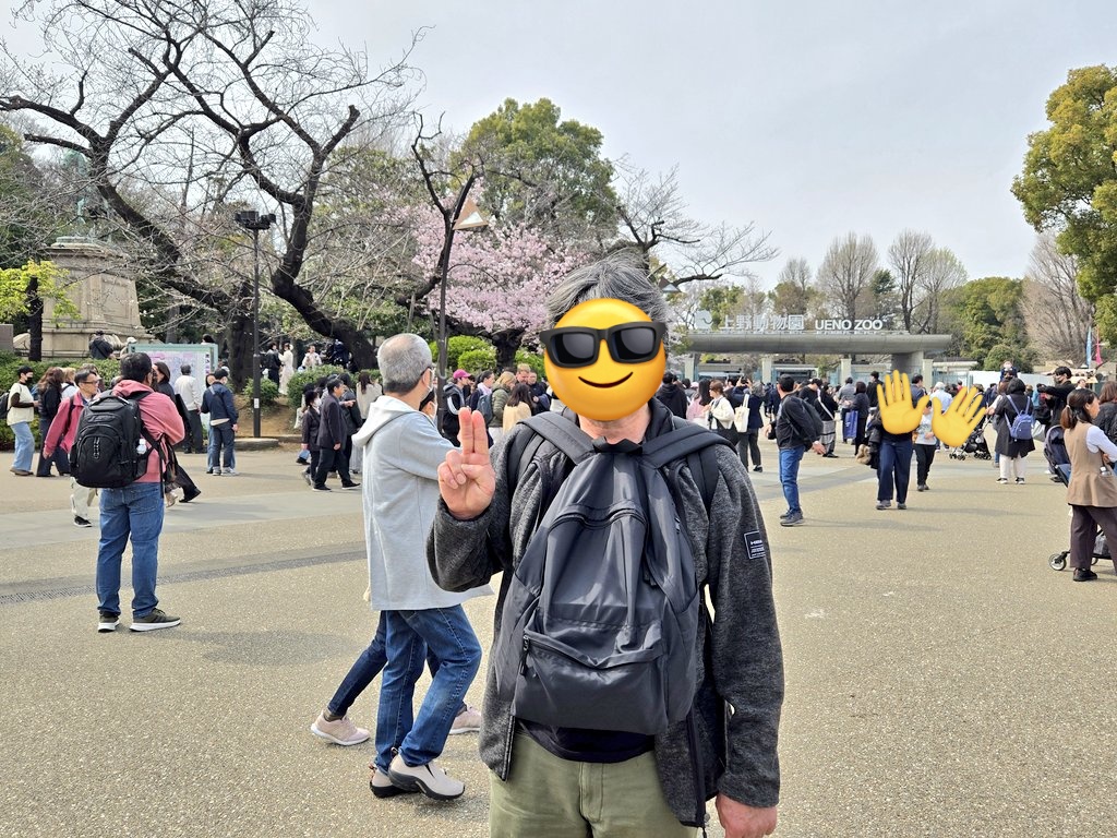 令凰(れいおう)🍀🕊️🌈 tweet media