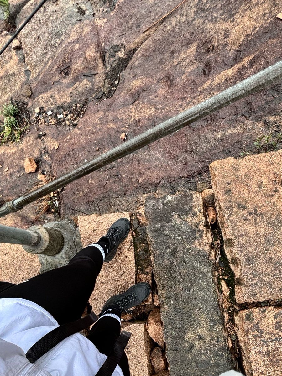 Rita Takács tweet media