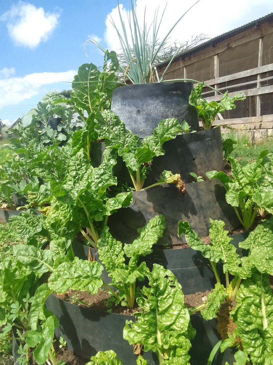 Son of a Farmer. tweet media