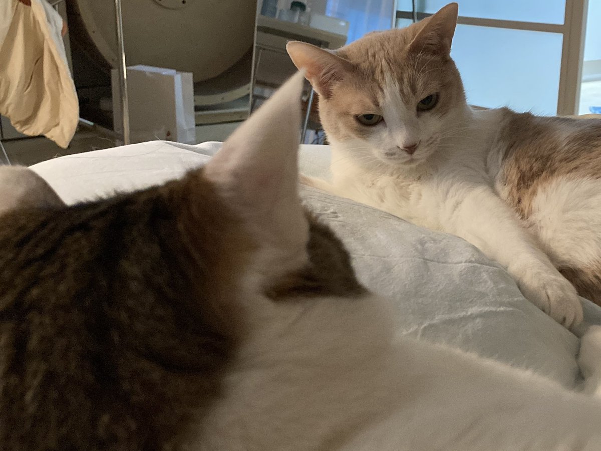 수목이 tweet media