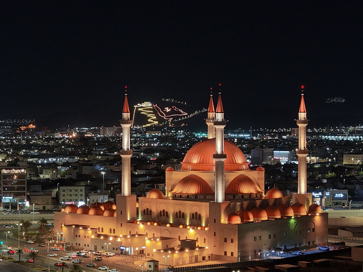 المملكة tweet media